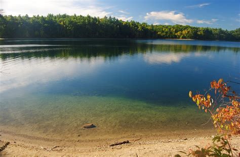 Freshwater lakes and ponds can be popular fishing spots as they are often home to favored catch species, such as bass and walleye. . Ponds and lakes near me